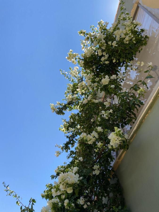 מאדאבה Simple Home מראה חיצוני תמונה
